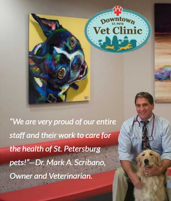 Downtown St. Pete Vet