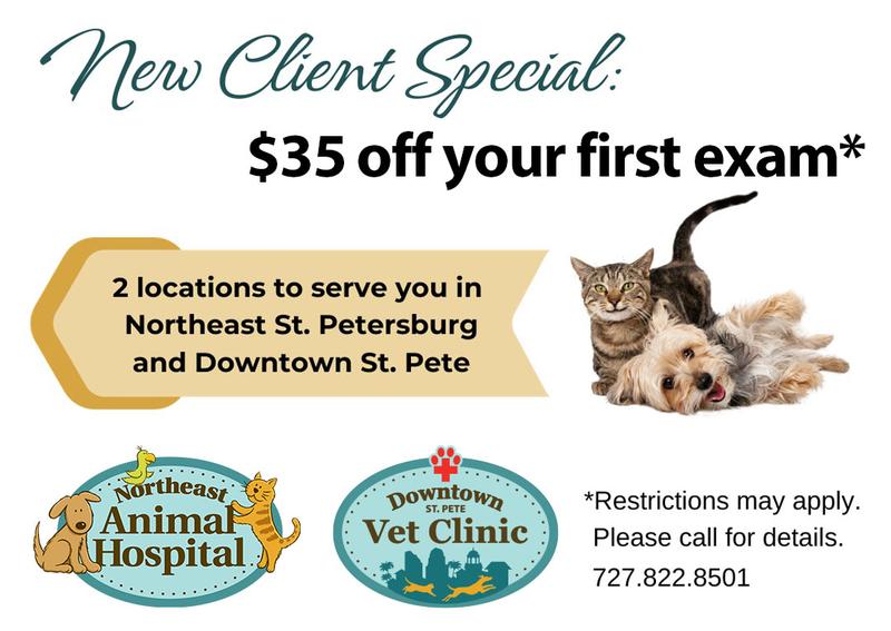 Downtown Saint Pete Vet Clinic gallery