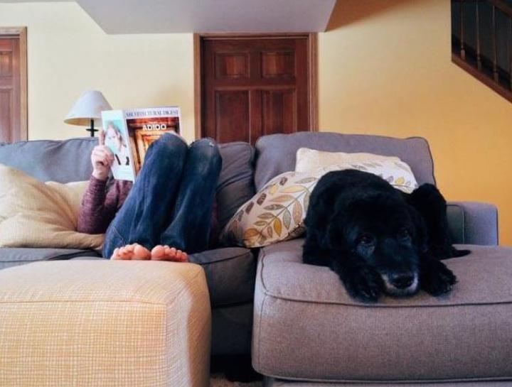 Staying Home with Your Pet Amidst COVID-19